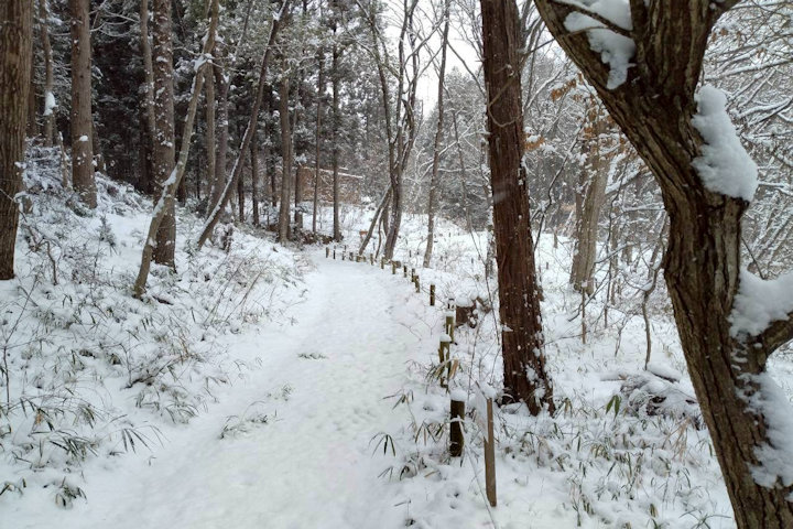 �V�_�̗���i�F